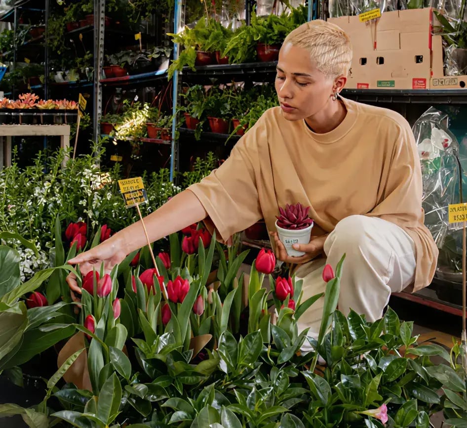 desktop_fellipe-ditadi-visurg_n_la-unsplash_1_7202