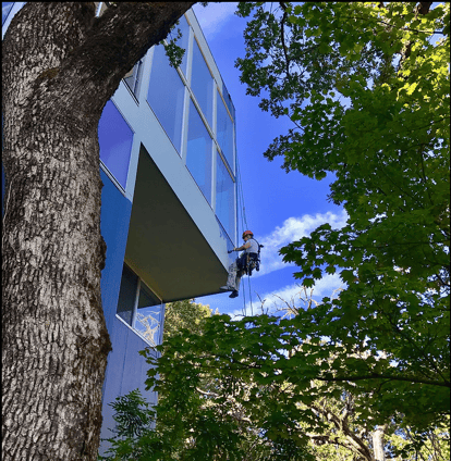 Bryan Hall of Rose City Ropes cleans windows with the aid of ropes