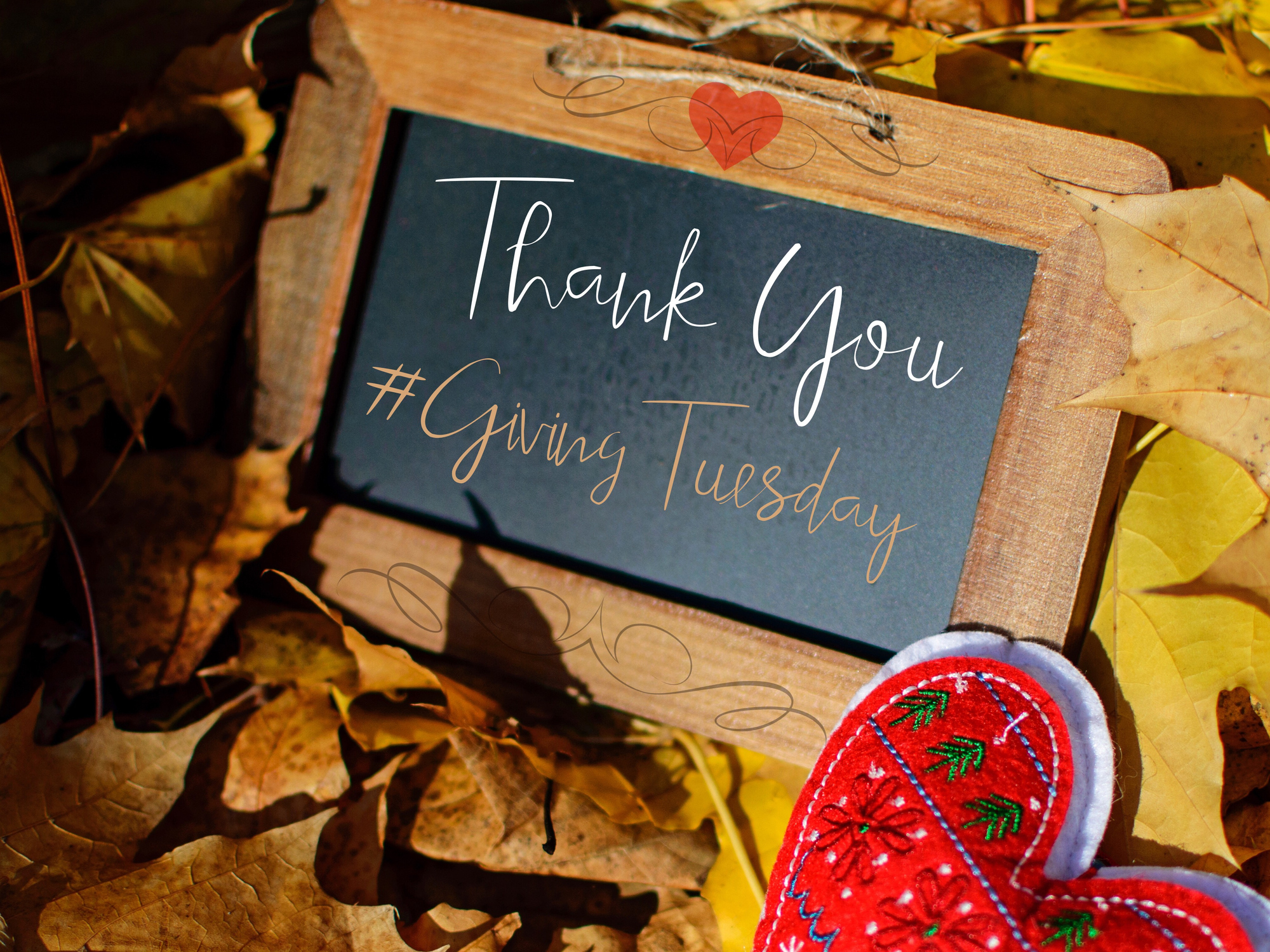 Small Business Giving Tuesday Ideas